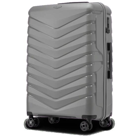 Grande valise Wings PHOENIX en polypropylène 28" gris foncé