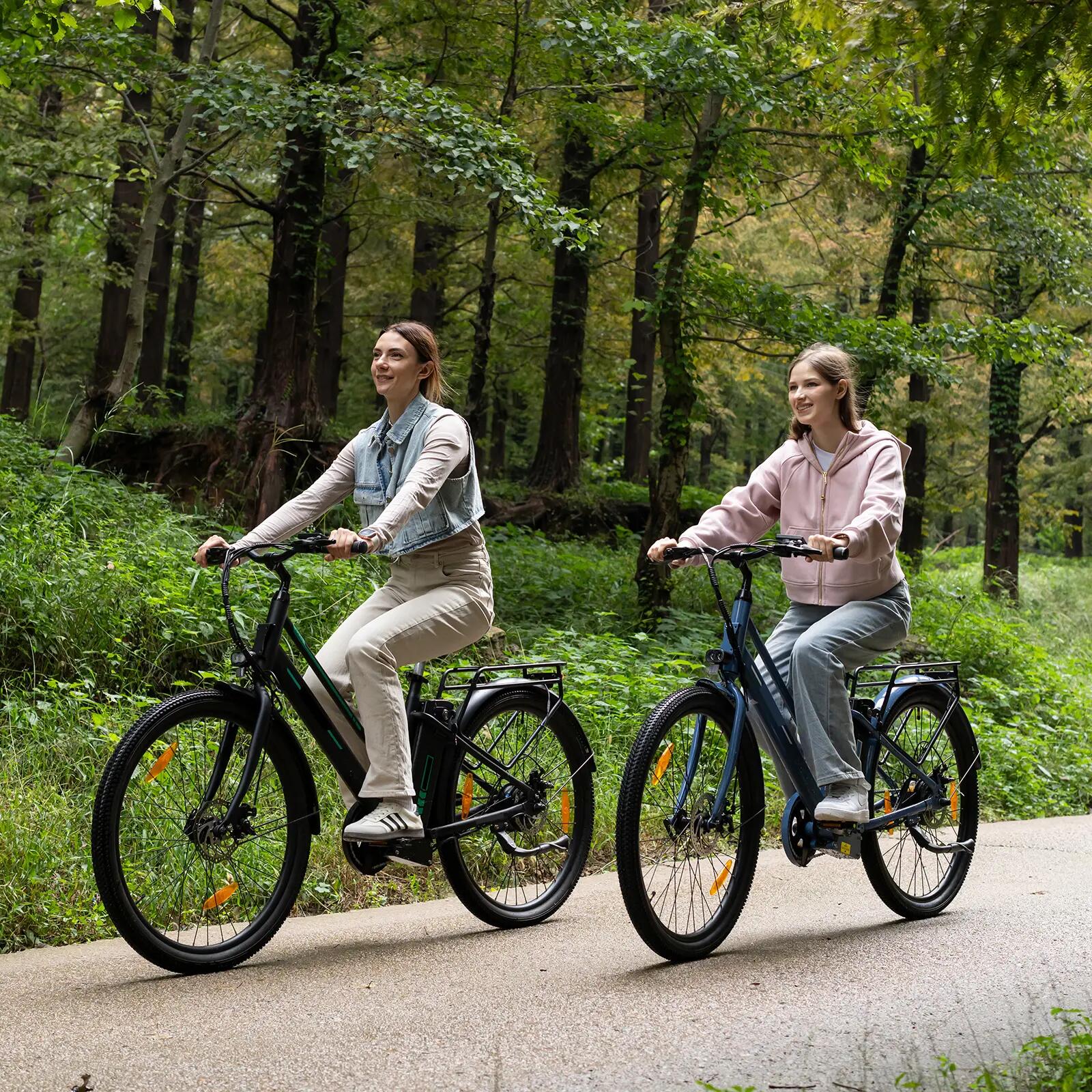 E-Bike City E-Bike 27,5 Zoll, Tiefeinsteiger Elektrofahrrad, 100 km, BK8SL 7/7