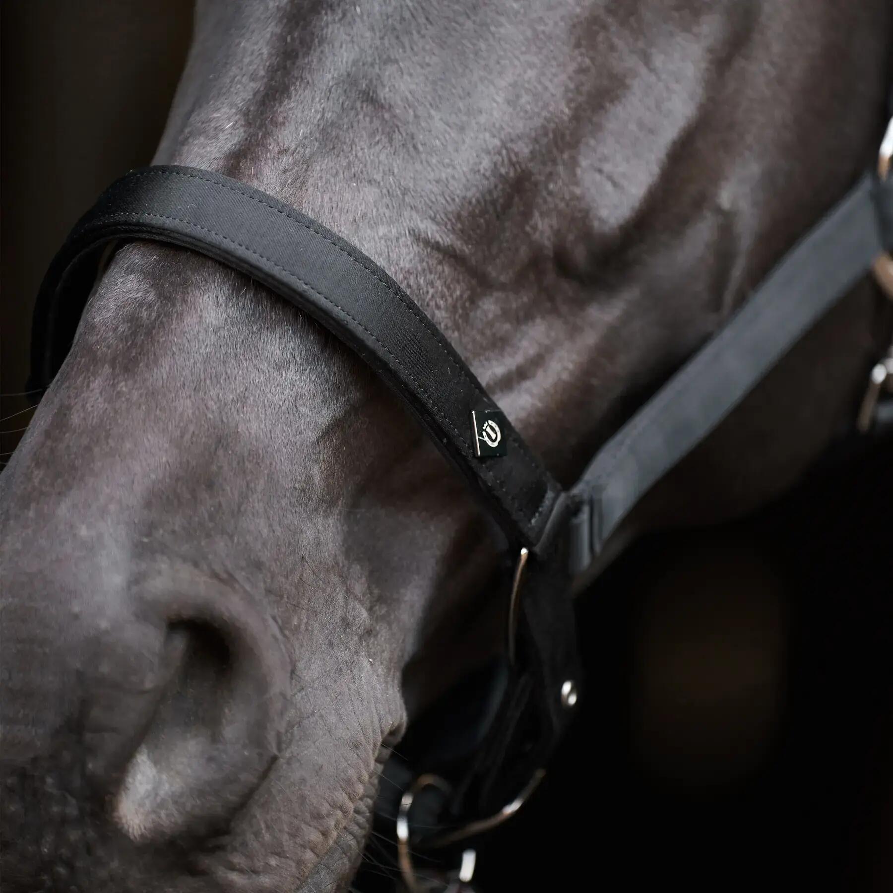 Licol pour cheval Imperial Riding Rebel 3/3