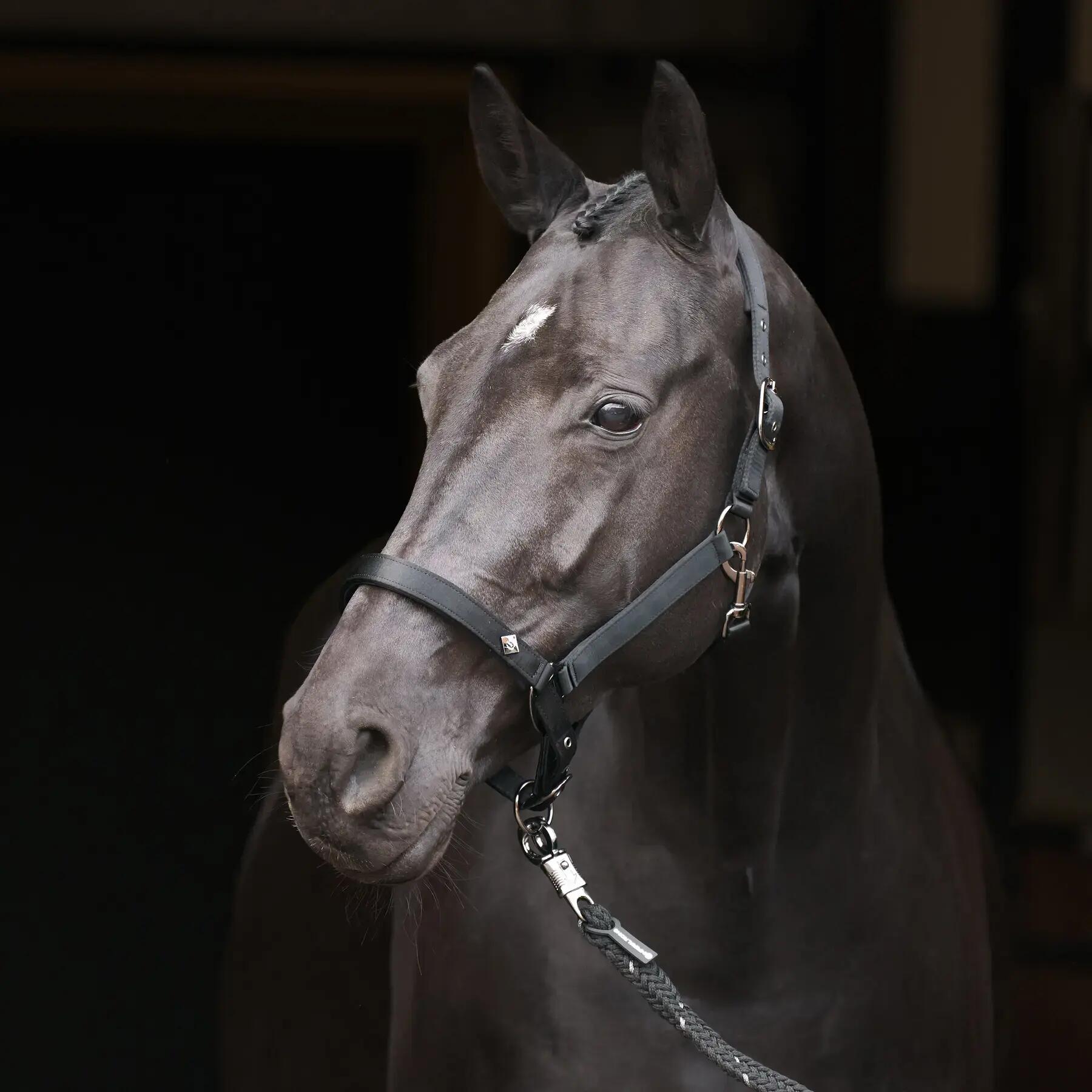 Licol pour cheval Imperial Riding Rebel 2/3