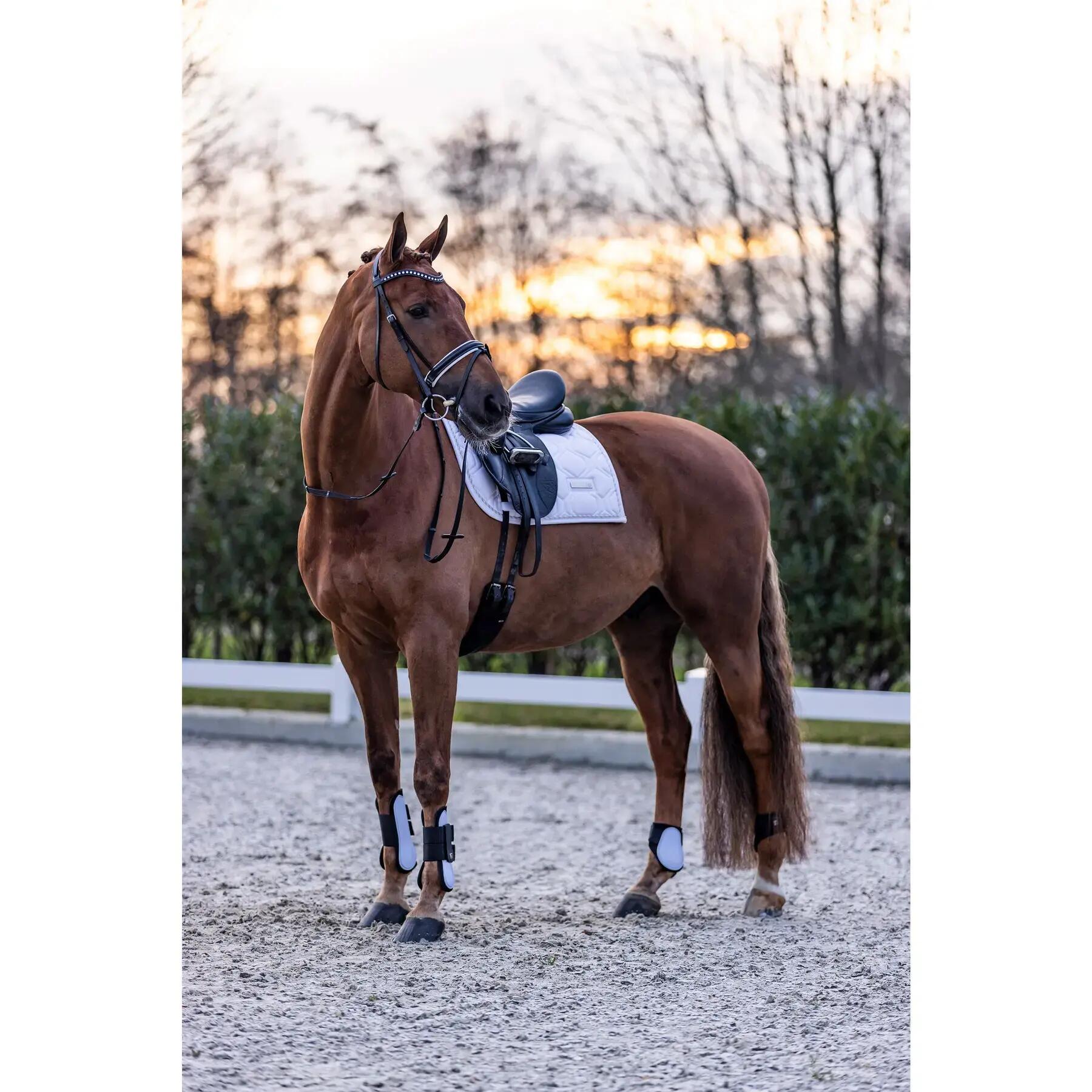 Klauenschutz für Pferde Imperial Riding Lovely 2/2