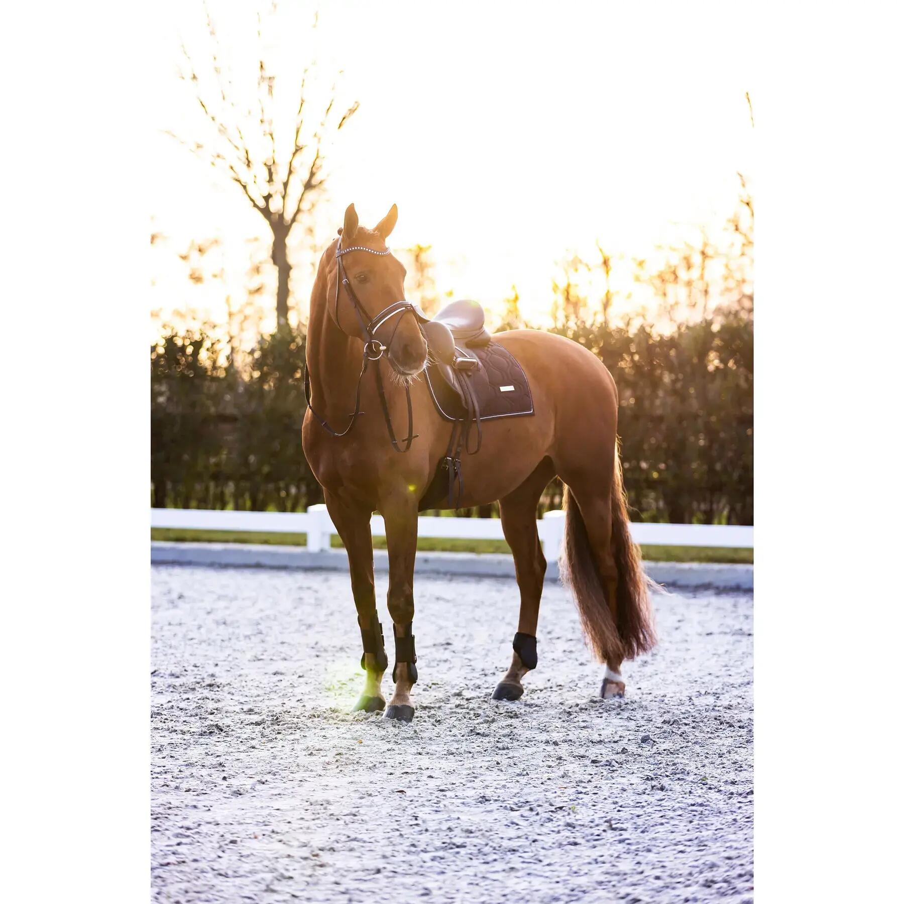 Fetlock Protectors Imperial Riding Lovely 2/3