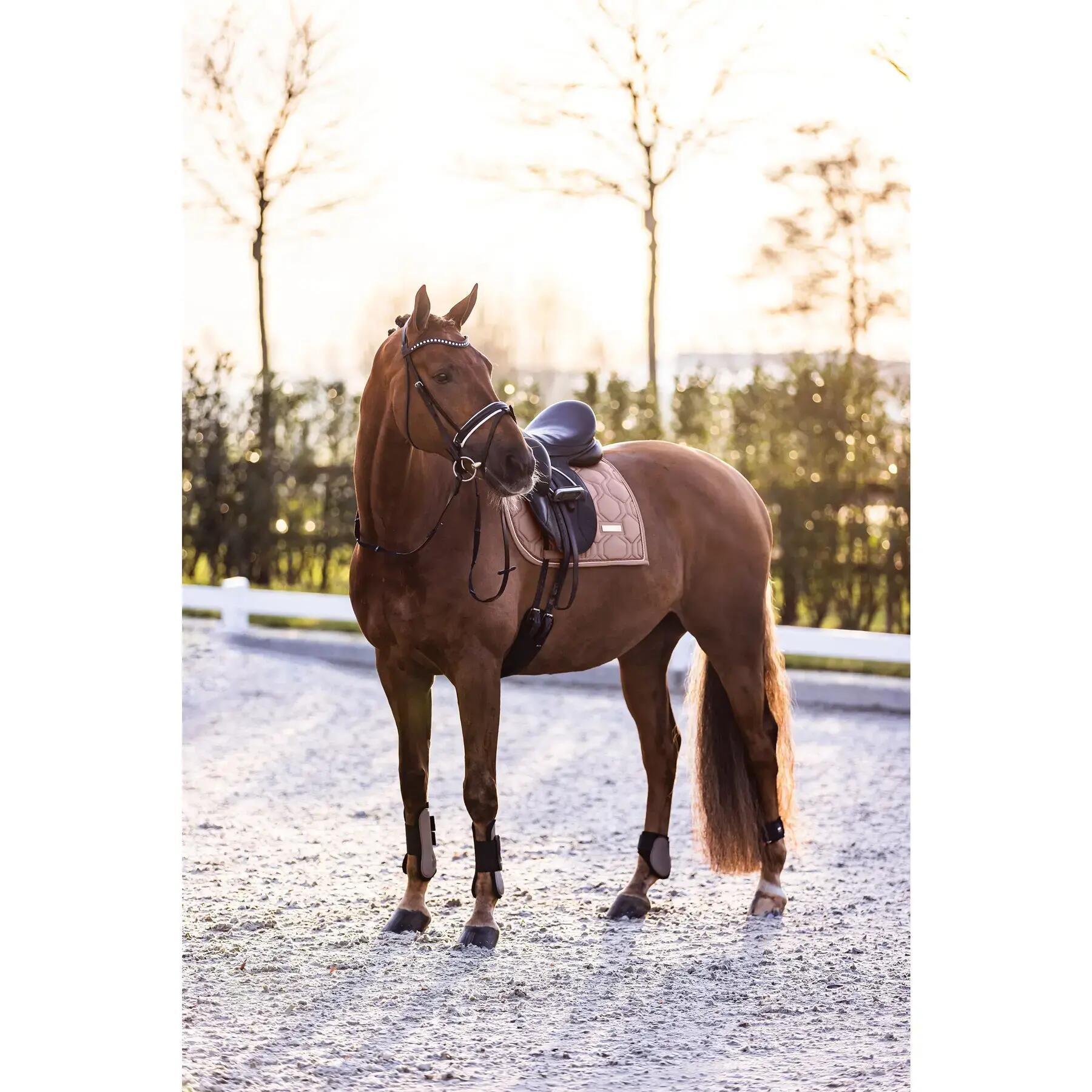 Protège-boulets pour cheval Imperial Riding Lovely 2/3
