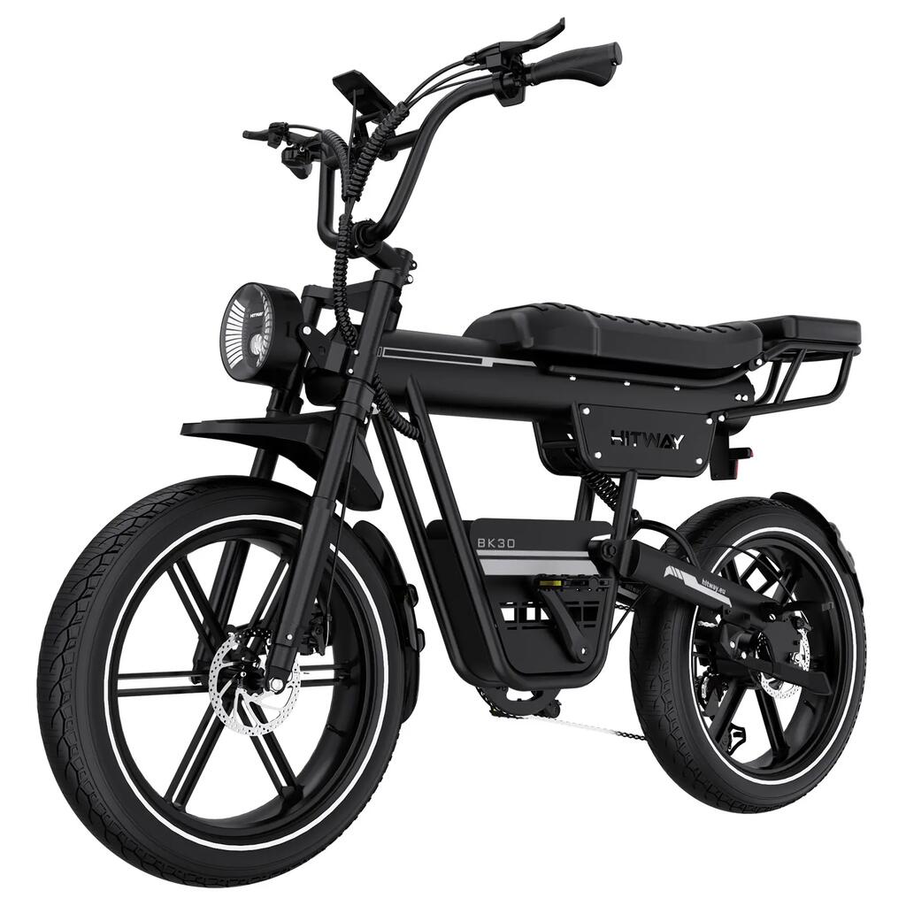 Electric Fat Bike 20" 48V 23.4Ah Removable Battery BK30