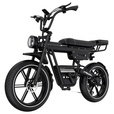 Elektrische fatbike 20" 48v 23,4ah uitneembare accu bk30