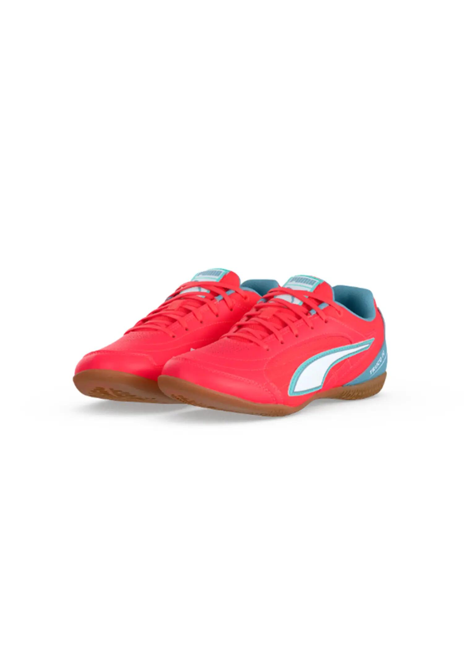 PUMA picture