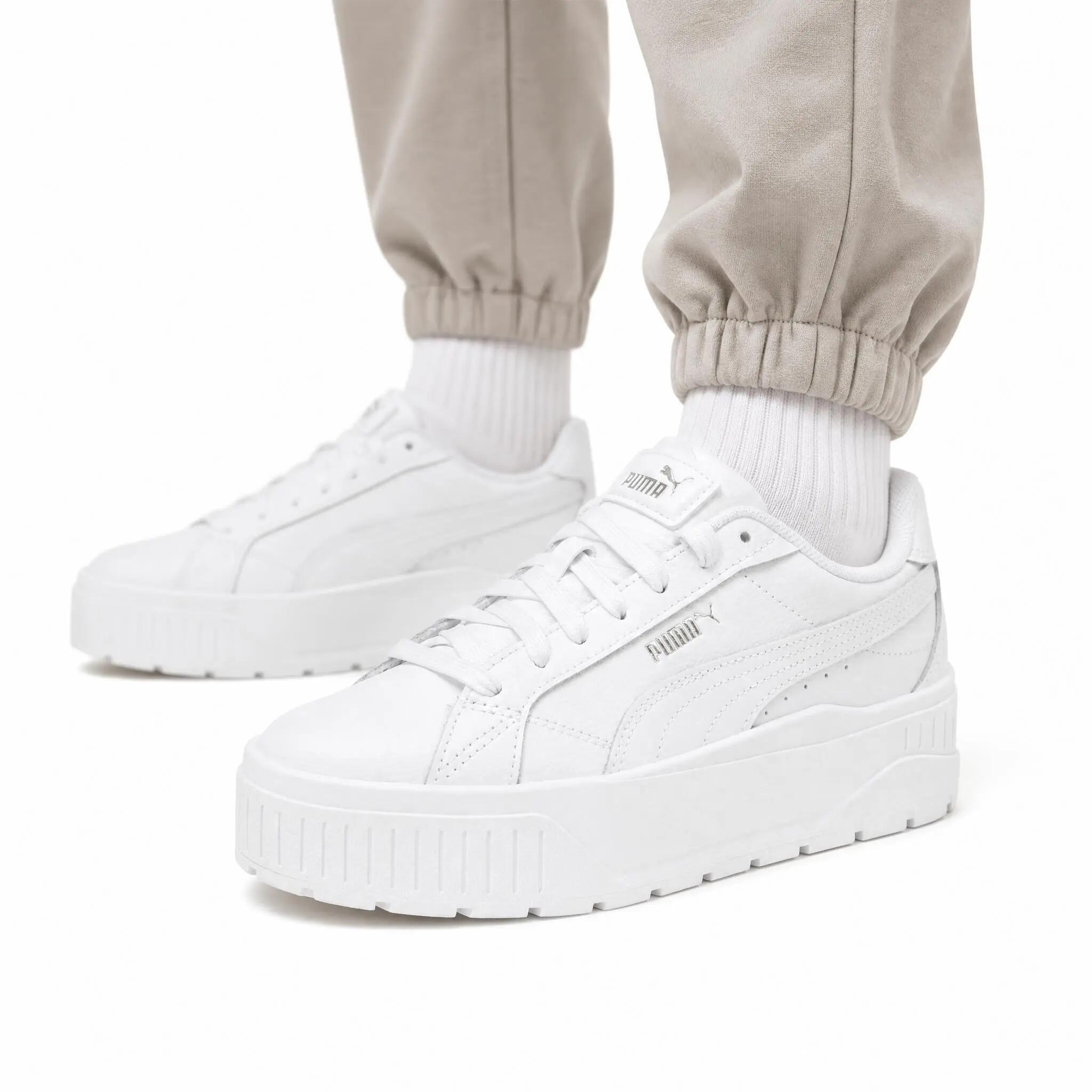 PUMA picture
