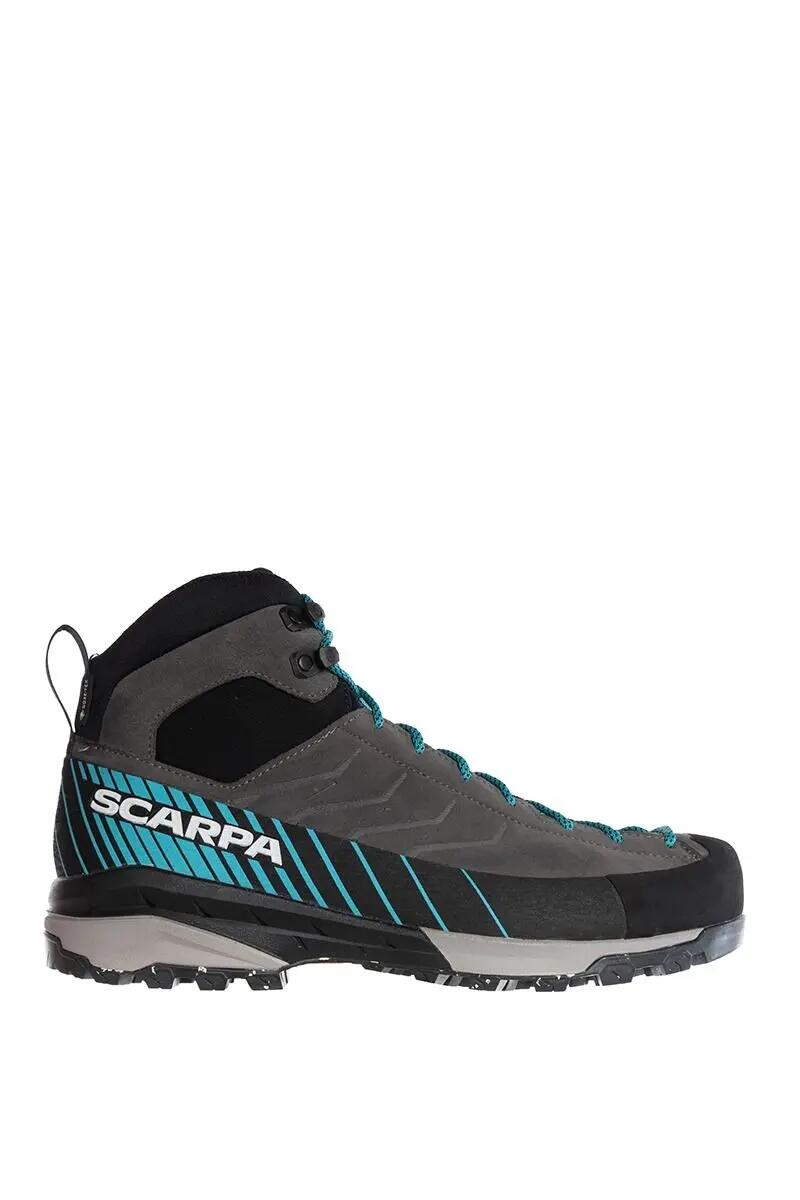 SCARPA picture