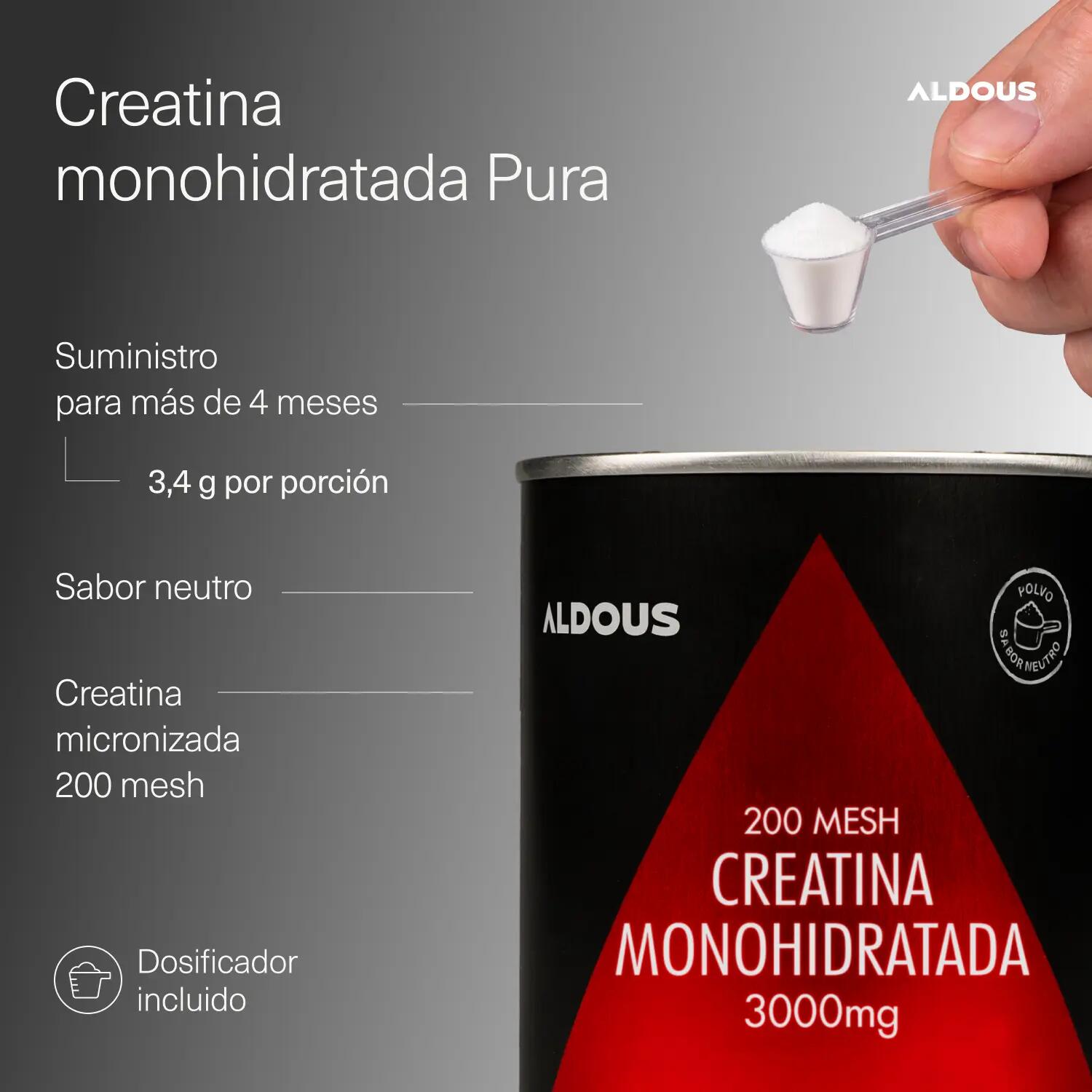 Creatina Monoidrata 200 Mesh - 500 g - Forza, Energia e Massa Muscolare 2/6