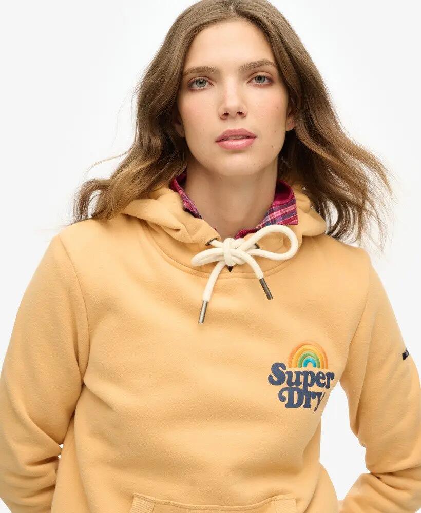 superdry Sweat Vintage Rainbow Hood em algodão-poliéster CLAY 3/4