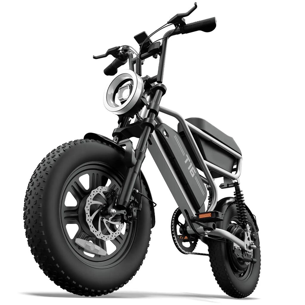 Electric Bicycle For Adults URLIFE T16 250W Motor 48V 13AH Battery