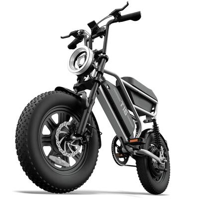 Elektrische fiets voor volwassenen urlife t16, 250w-motor, 48v 13ah-accu