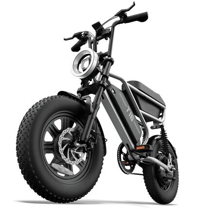 Bicyclette électrique pour adultes URLIFE T16, moteur 250W, batterie 48V 13Ah