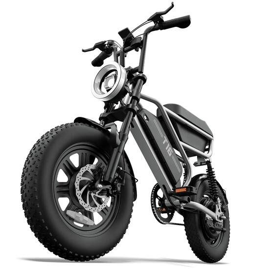 Bicyclette électrique pour adultes URLIFE T16, moteur 250W, batterie 48V 13Ah