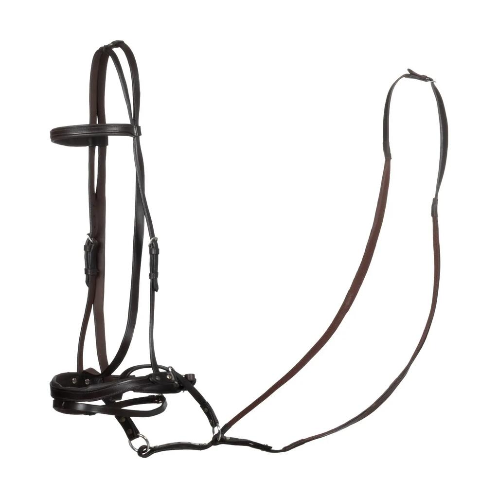 Bitless horse ball bridle with reins