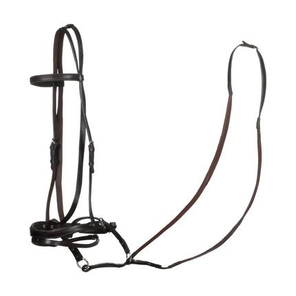 Testiera bitless pour horse ball avec rênes