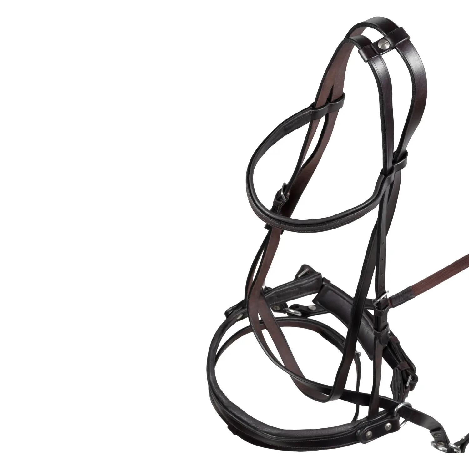 Testiera bitless pour horse ball avec rênes 7/7