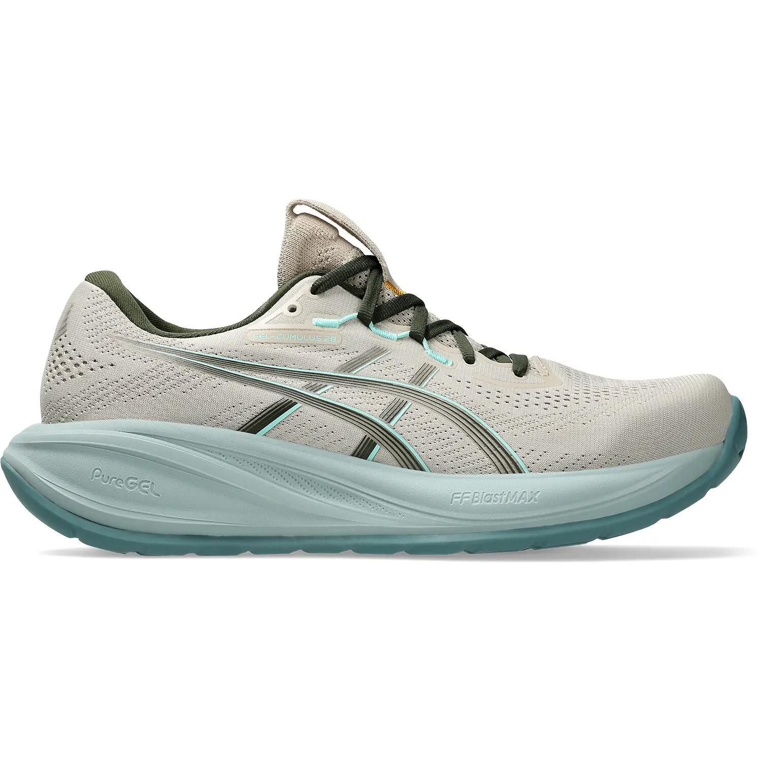 ASICS picture