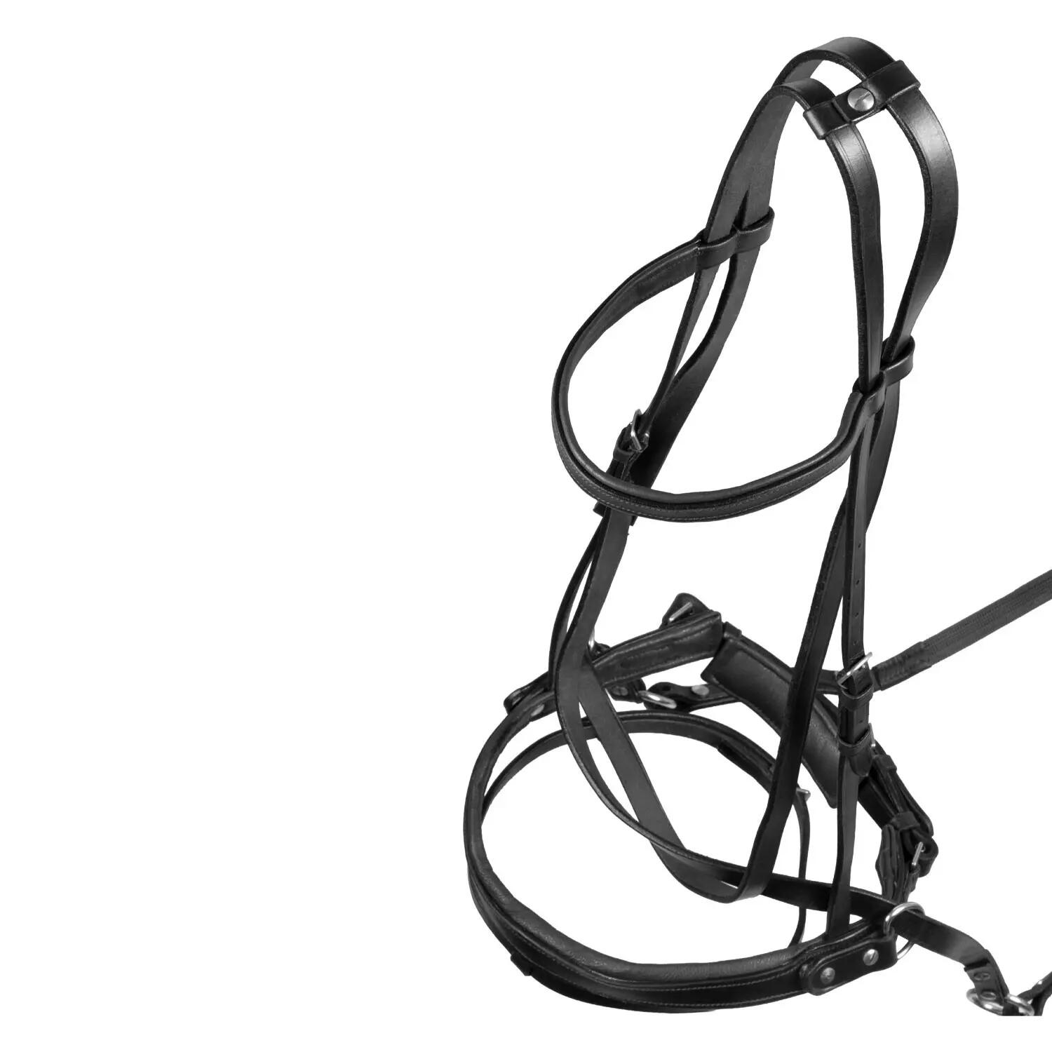 Testiera bitless pour horse ball avec rênes 7/7