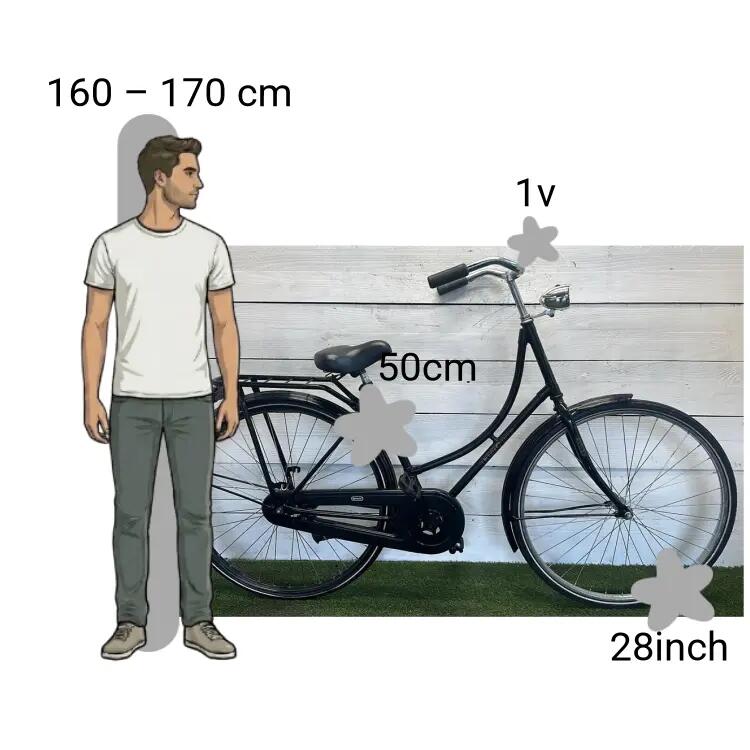 Bicicleta usada Cortina Tour 2/4