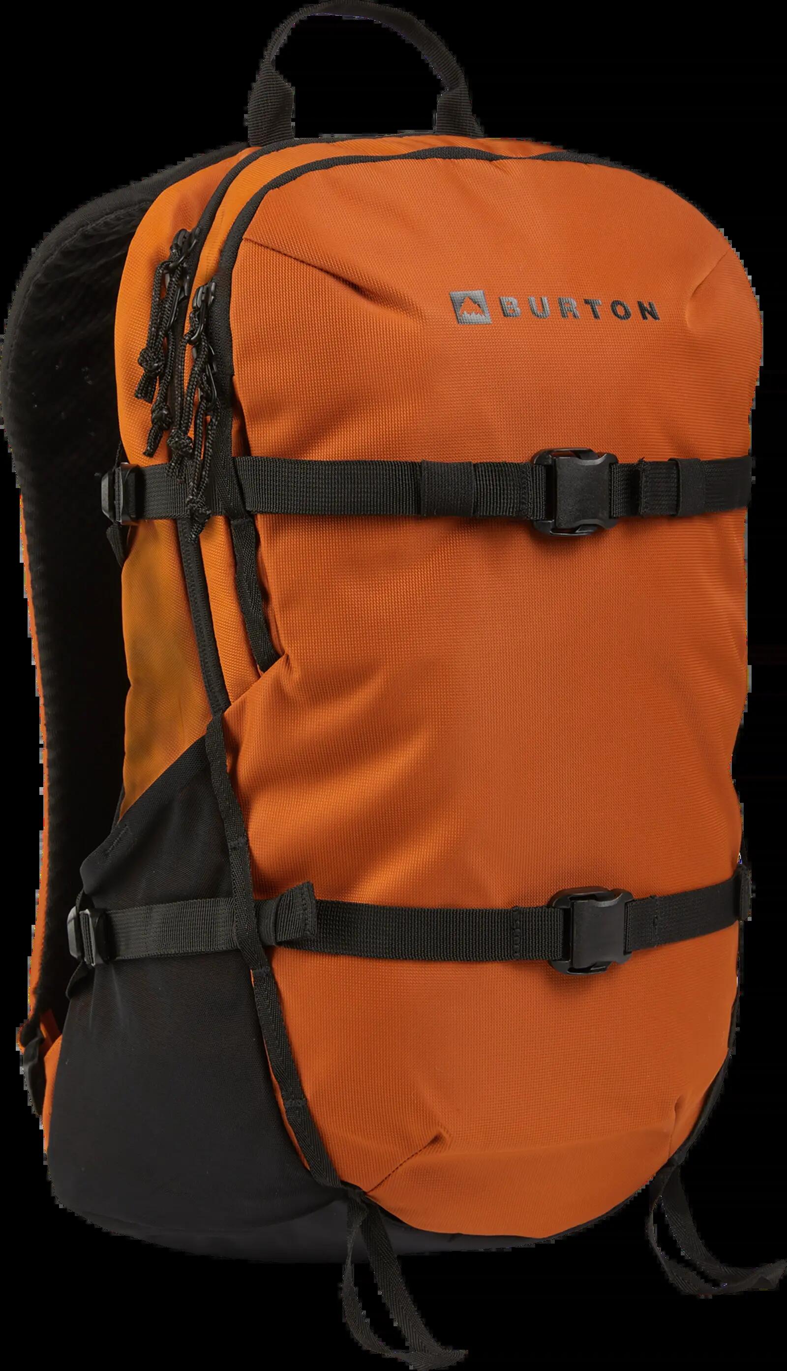 BURTON picture
