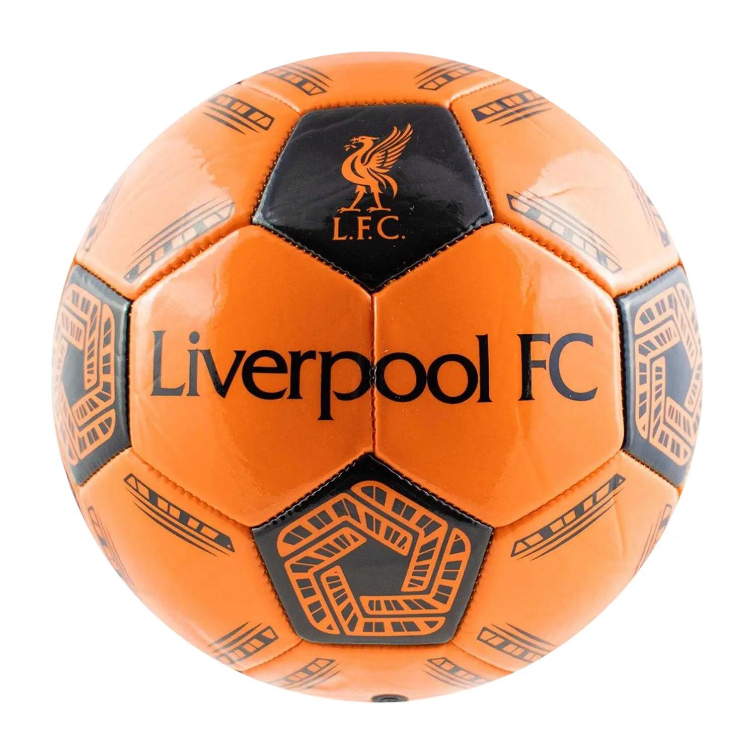 LIVERPOOL FC picture
