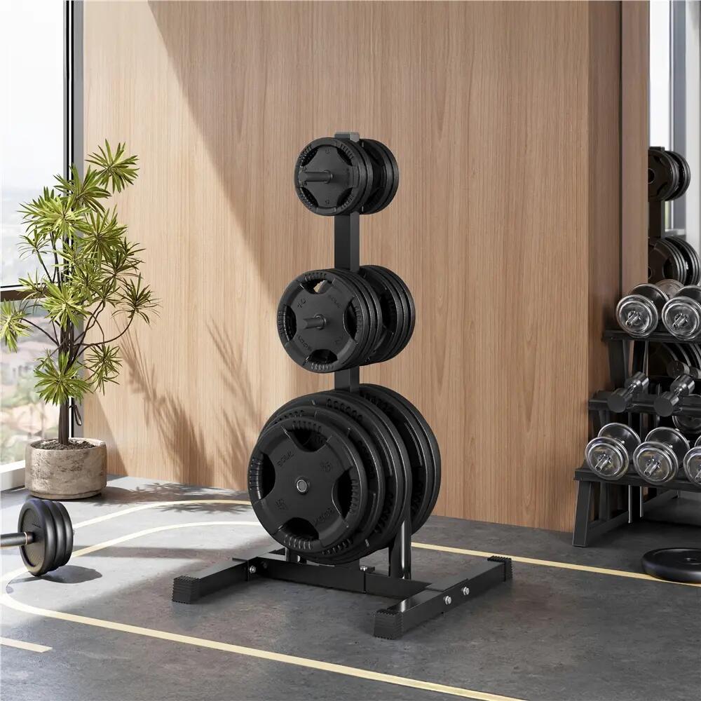 Rangement pour disques musculation avec 2 supports barres capacité 400 kg noir 3/11