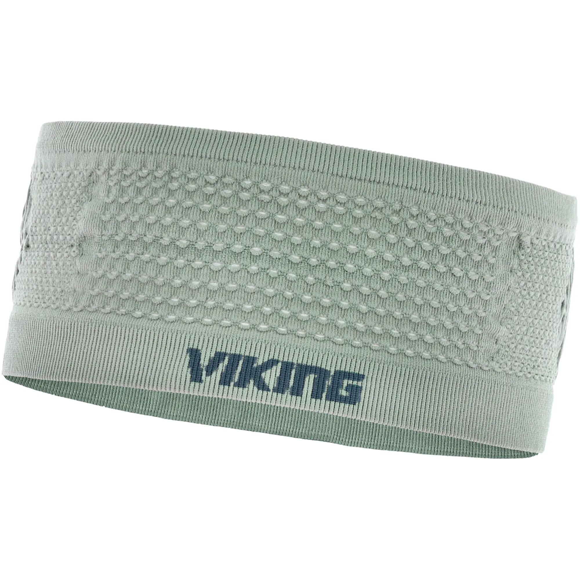 VIKING picture