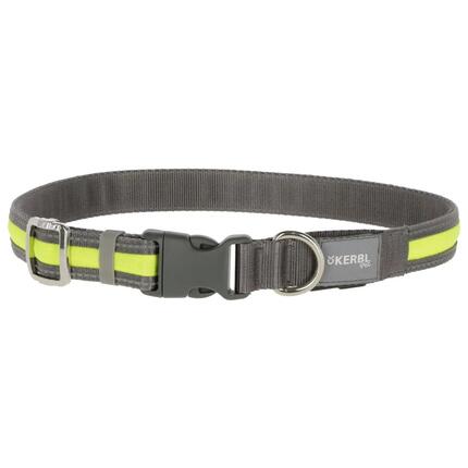 Collier pour chien lumineux Kerbl Light&Reflex