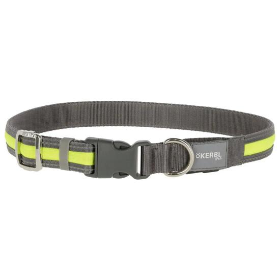 Collier pour chien lumineux Kerbl Light&Reflex