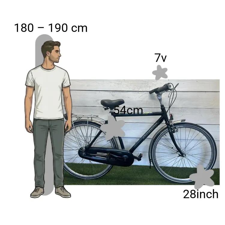 Bicicleta usada Gazelle Orange 2/4