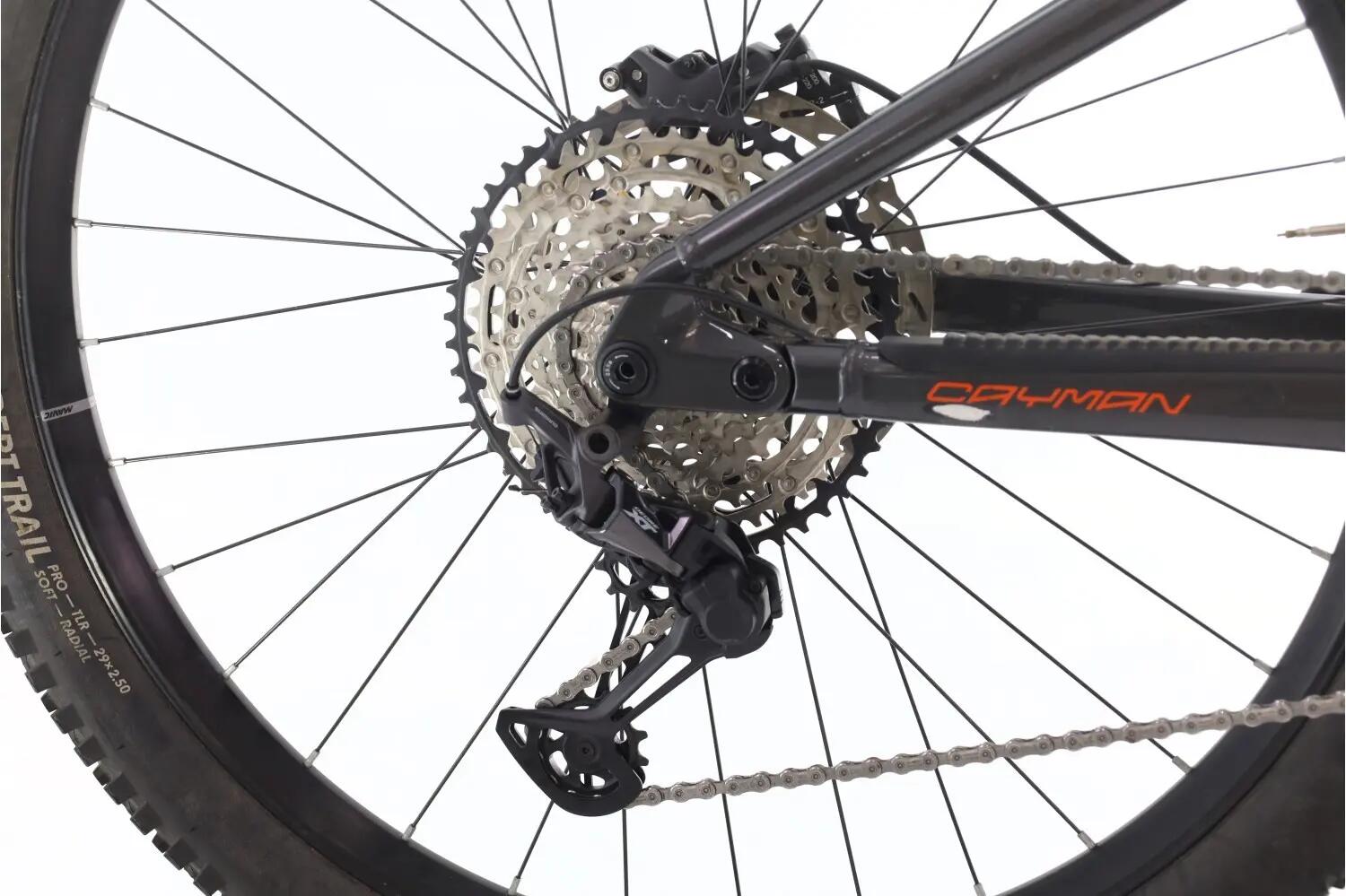 Tweedehands e-bike ·  Cayman XT · Zeer goede toestand 3/8