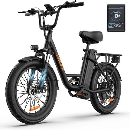 Vélo électrique - Ville - Homme - 250W, 48V 13Ah amovible - E20 Noir