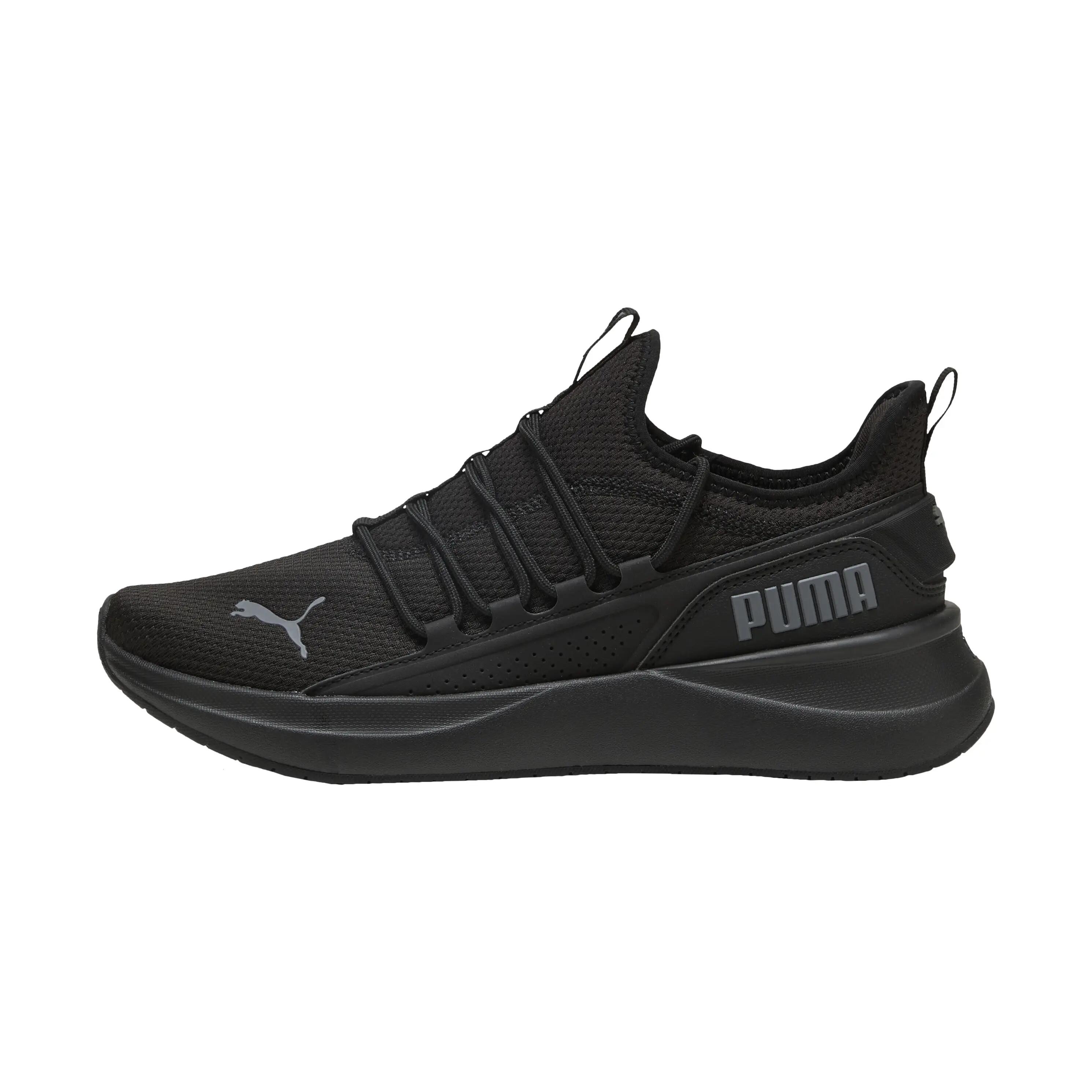 PUMA picture