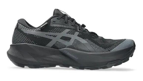 ASICS picture