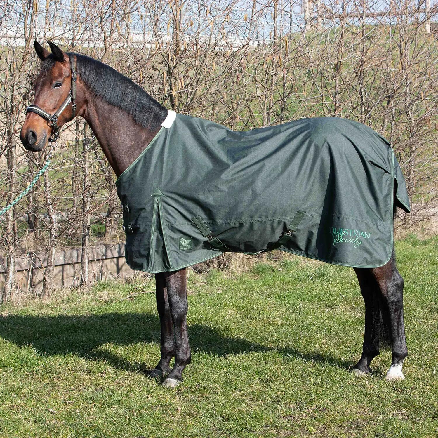 HARRYS HORSE picture