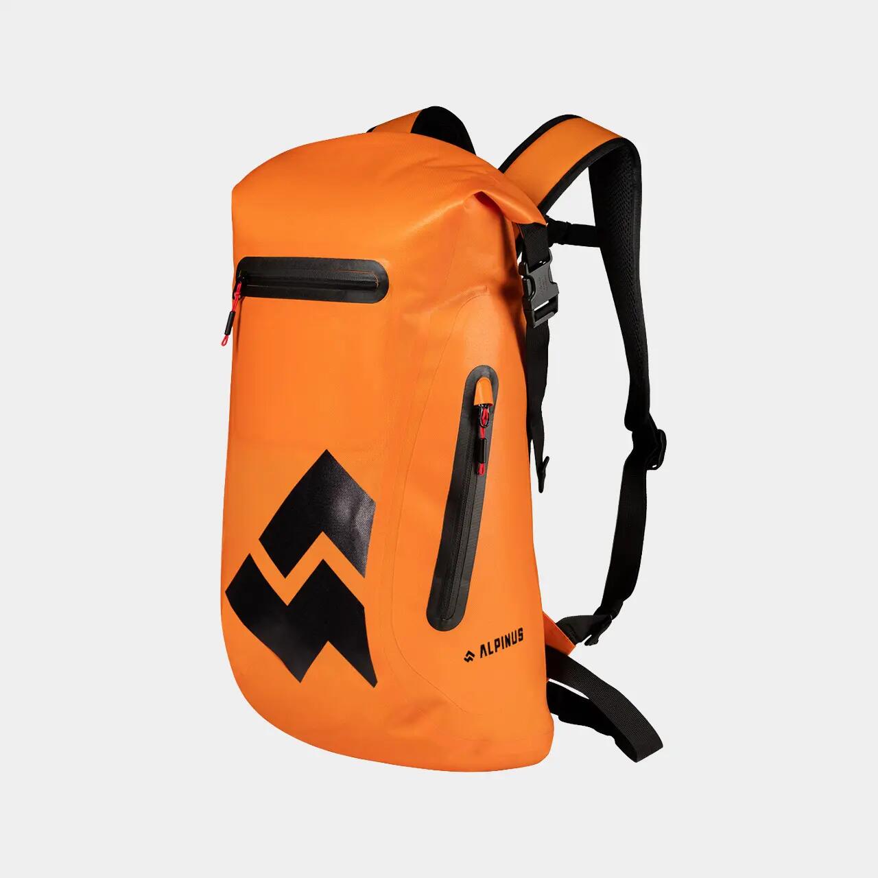 ALPINUS picture