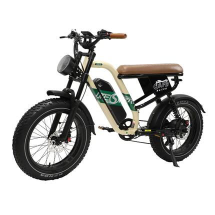 Vélo électrique tout-terrain Onesport W66 20'' pour adulte, 48 V, 13,5 Ah