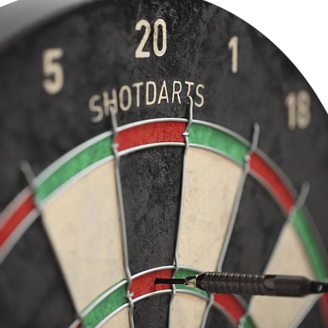 Shot Rogue Bristle Dartboard 3/6