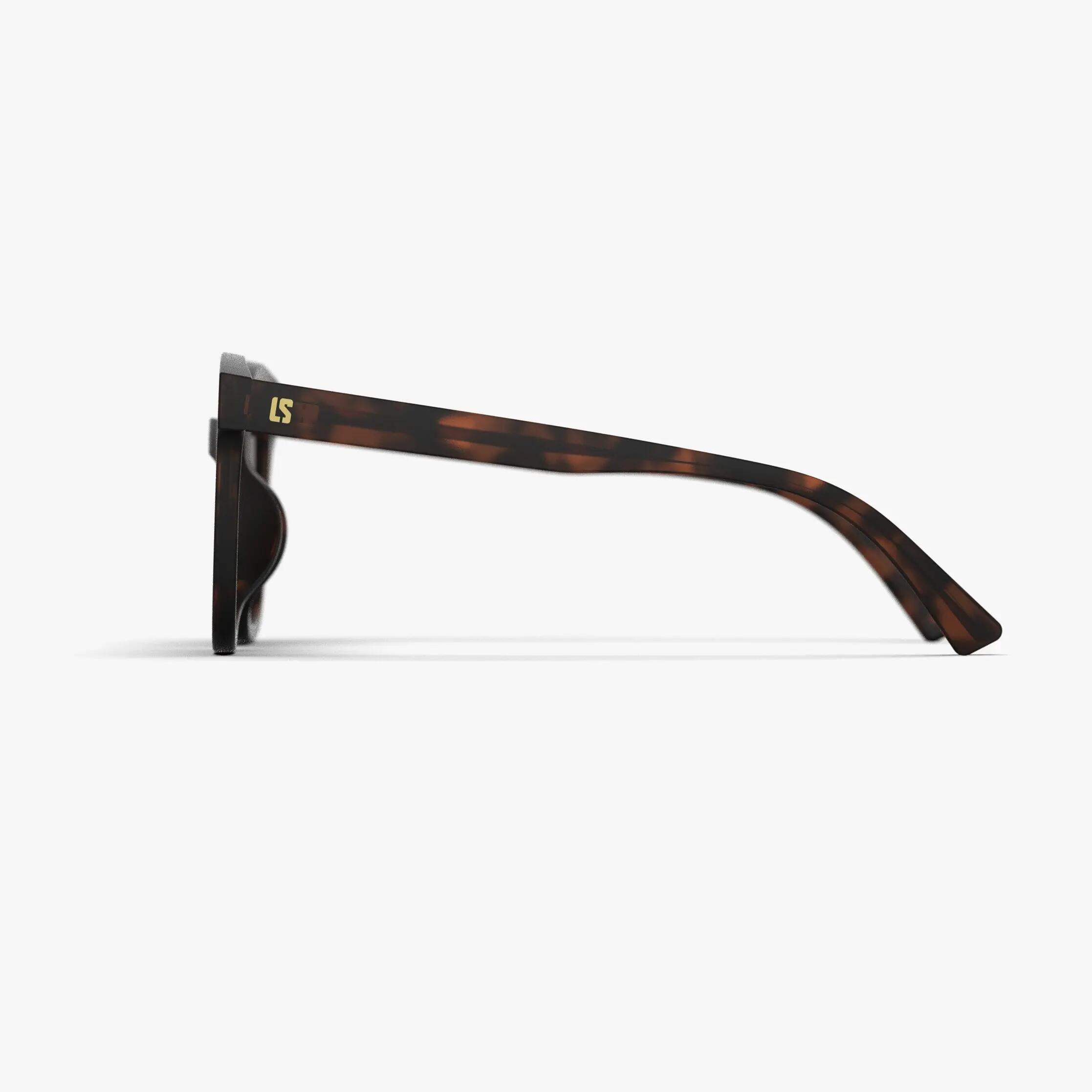 Lunettes de soleil Minnesota XL Écaille 3/3