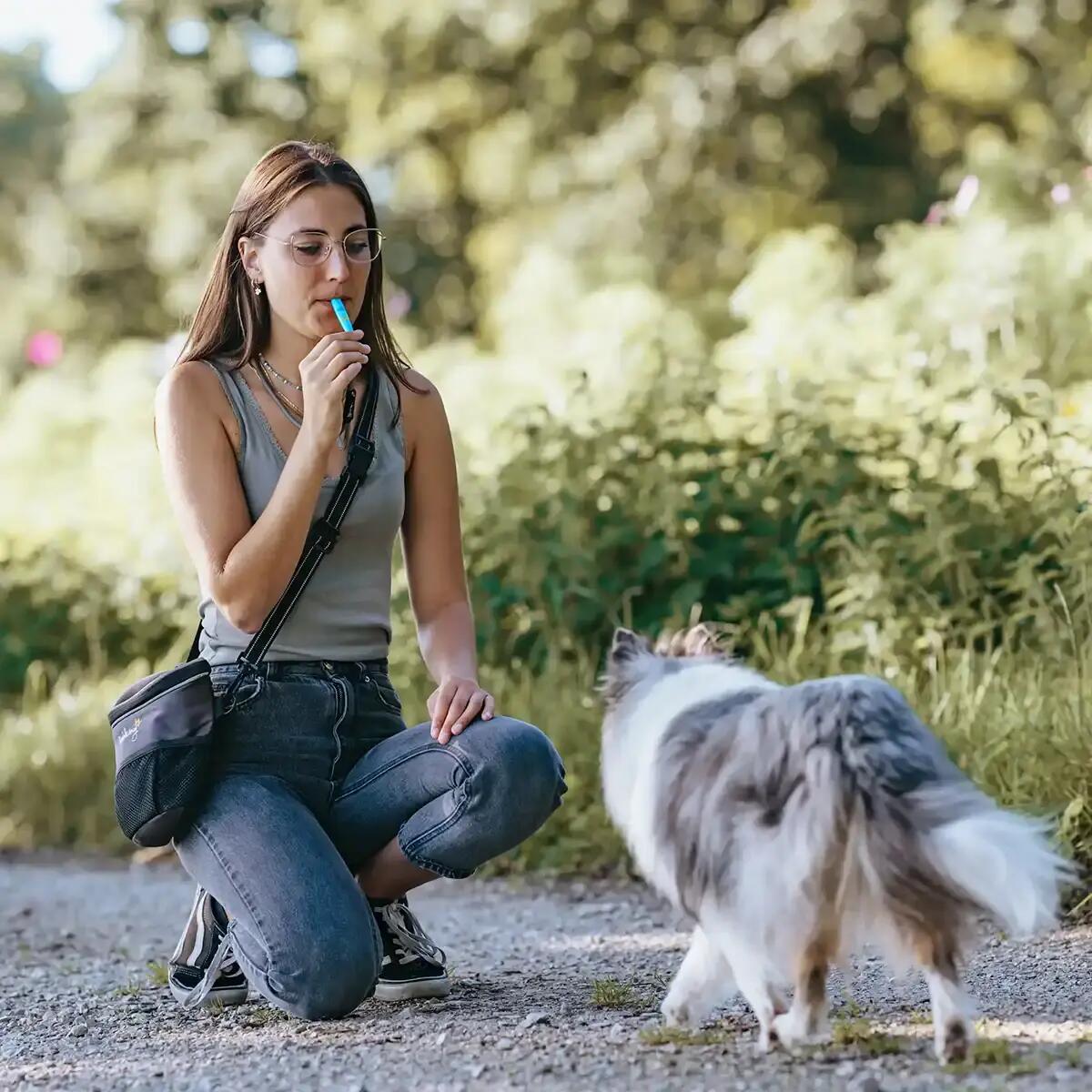 Silbato para perros - Ayuda para el adiestramiento en la llamada 6/6