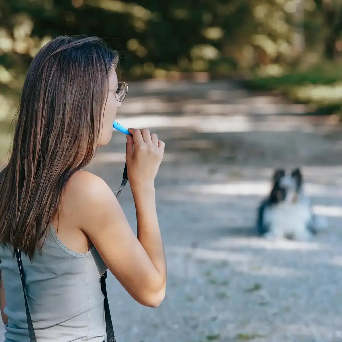 Silbato para perros - Ayuda para el adiestramiento en la llamada 5/6