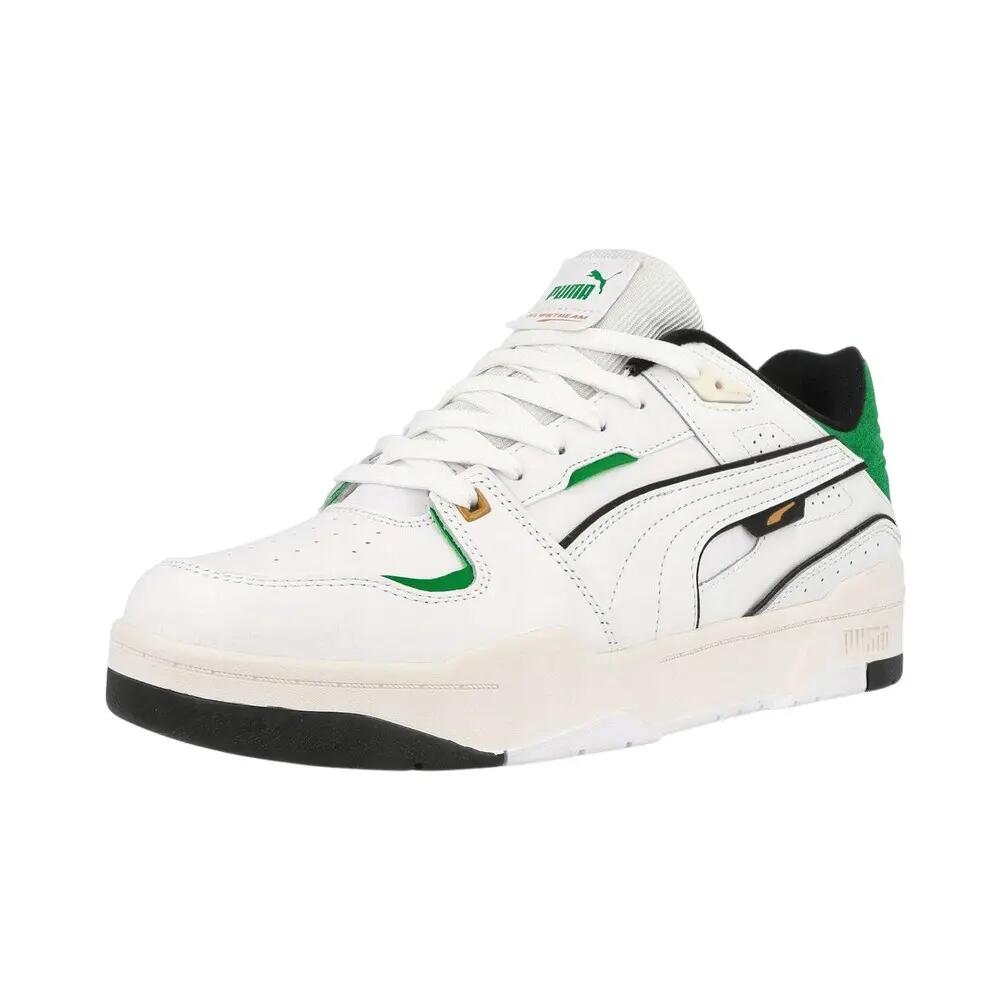 PUMA picture