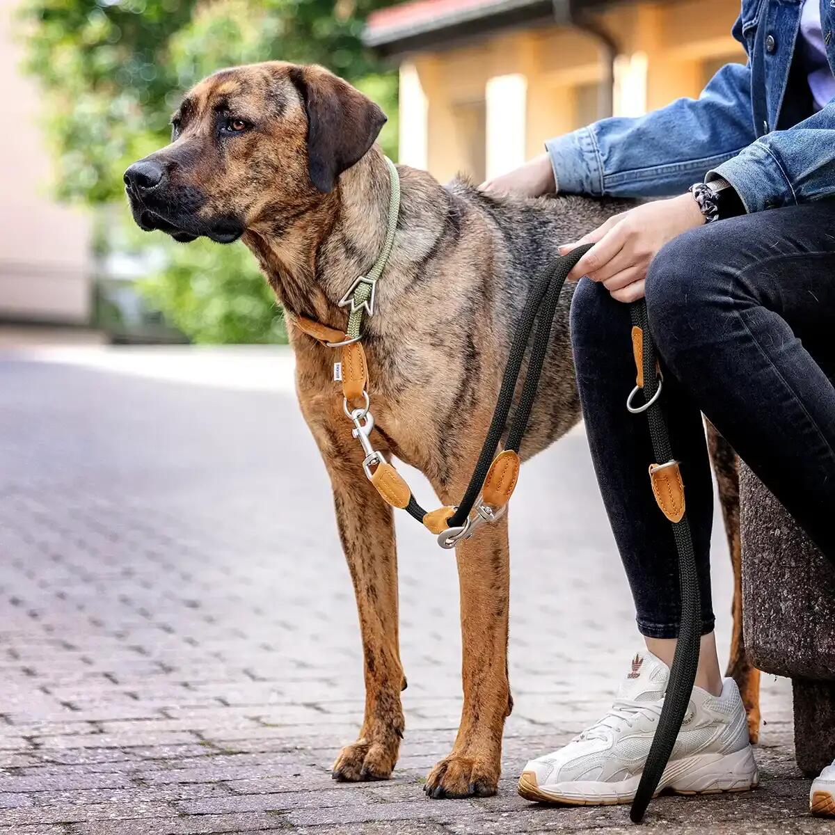Guinzaglio Emma per Cani – Guinzaglio Regolabile Leggero ed Elegante 4/6