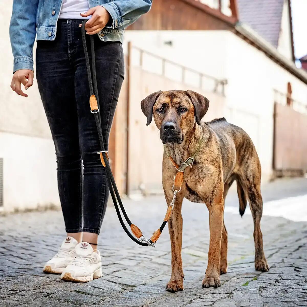 Guinzaglio Emma per Cani – Guinzaglio Regolabile Leggero ed Elegante 2/6