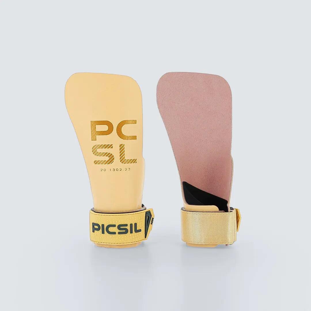 PICSIL picture