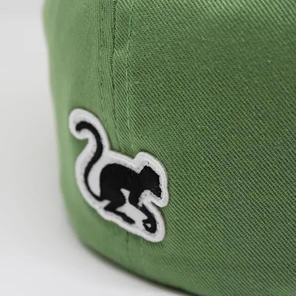 Casquette de baseball unisexe extensible (sauge) 4/4