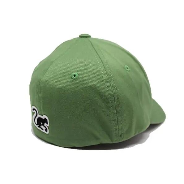 Casquette de baseball unisexe extensible (sauge) 2/4