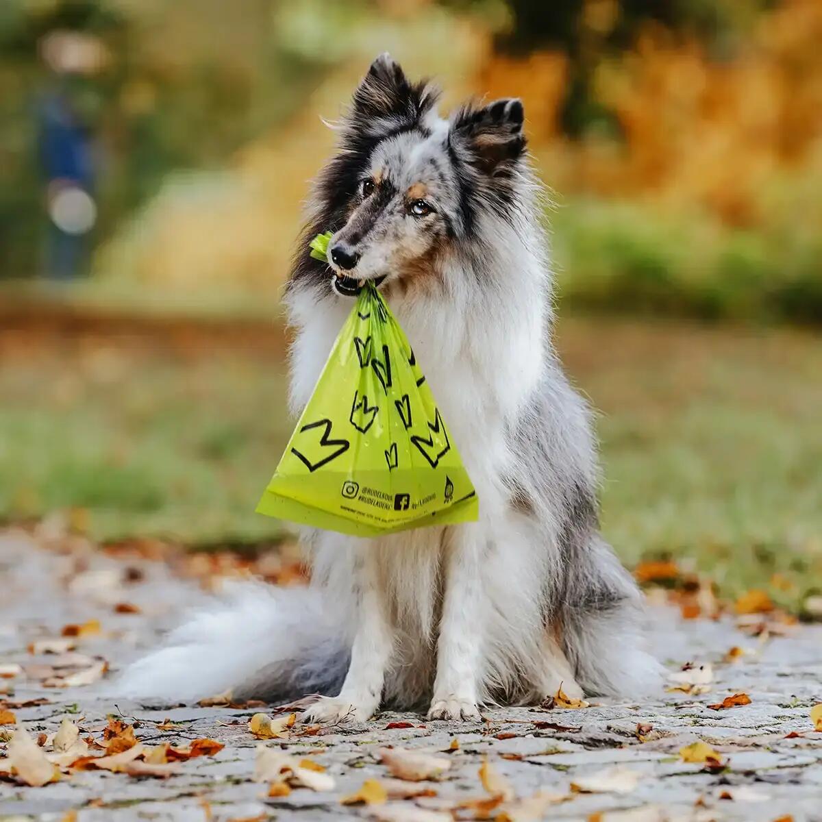 Sacchetti Igienici per Cani – 270 Pezzi, Resistenti e Antifuga 5/6