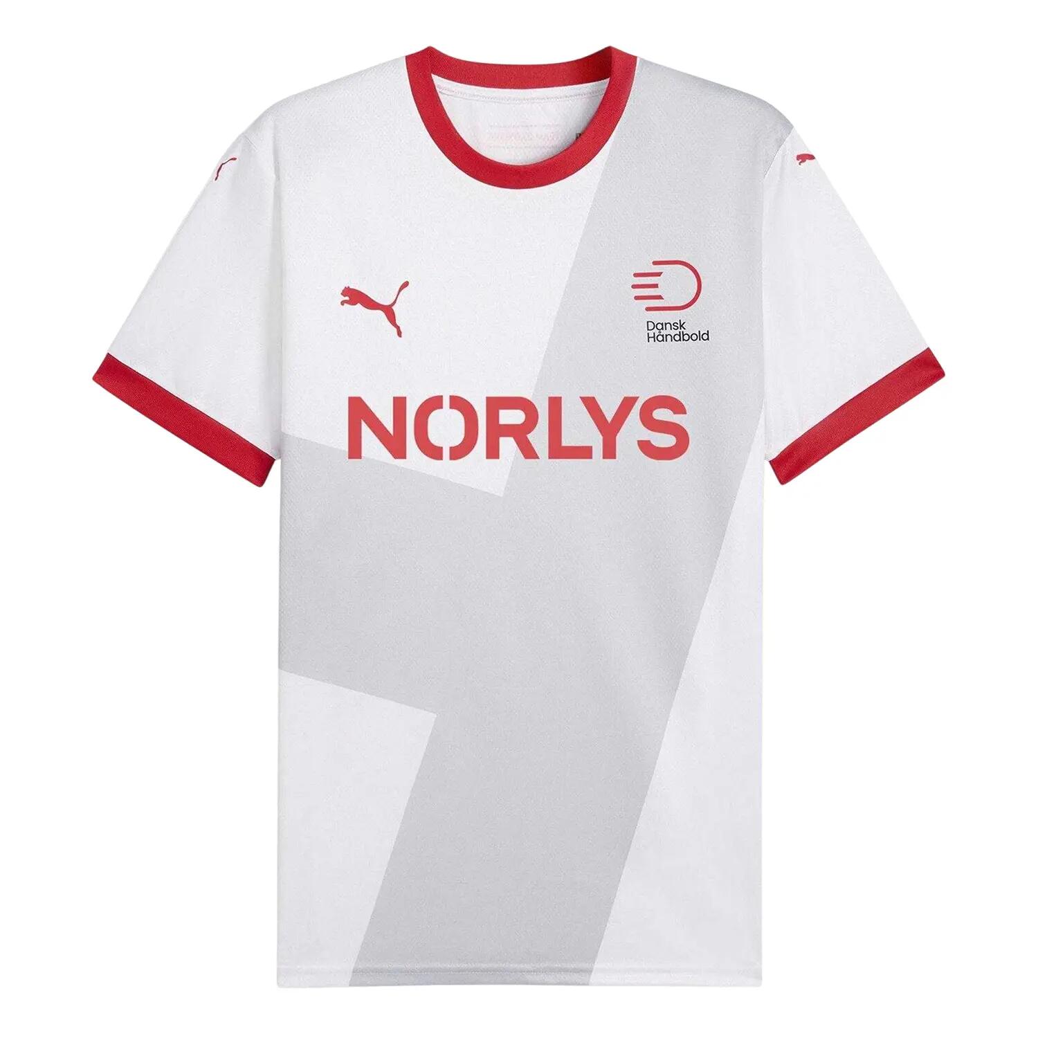 Puma Mens Handball Away Jersey